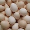 ⁦طبق بيض بلدي⁩ - الصورة ⁦3⁩