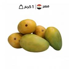 قشطة مصري